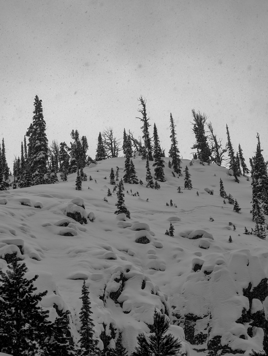 Kicking Horse, Британская Колумбия, отчет: 4133 вертикальных фута желобов и порошка