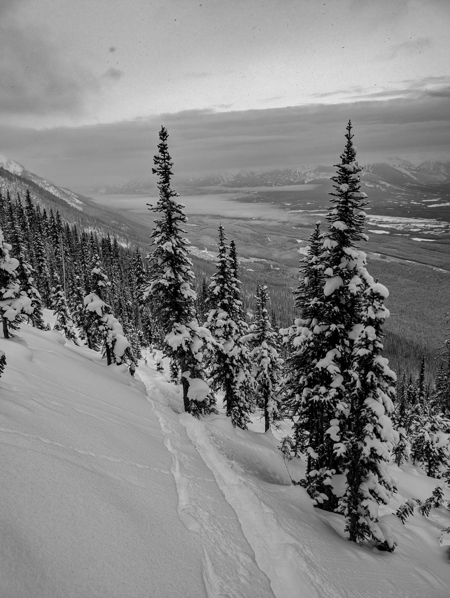 Kicking Horse, Британская Колумбия, отчет: 4133 вертикальных фута желобов и порошка