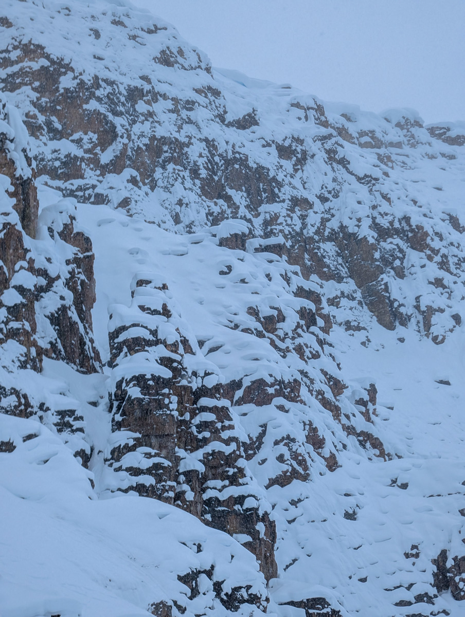 Kicking Horse, Британская Колумбия, отчет: 4133 вертикальных фута желобов и порошка