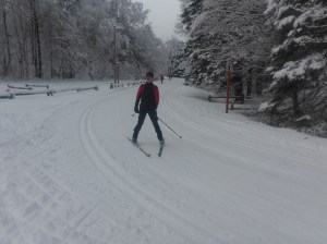 Опыт скандинавской лыжи в Квебеке
