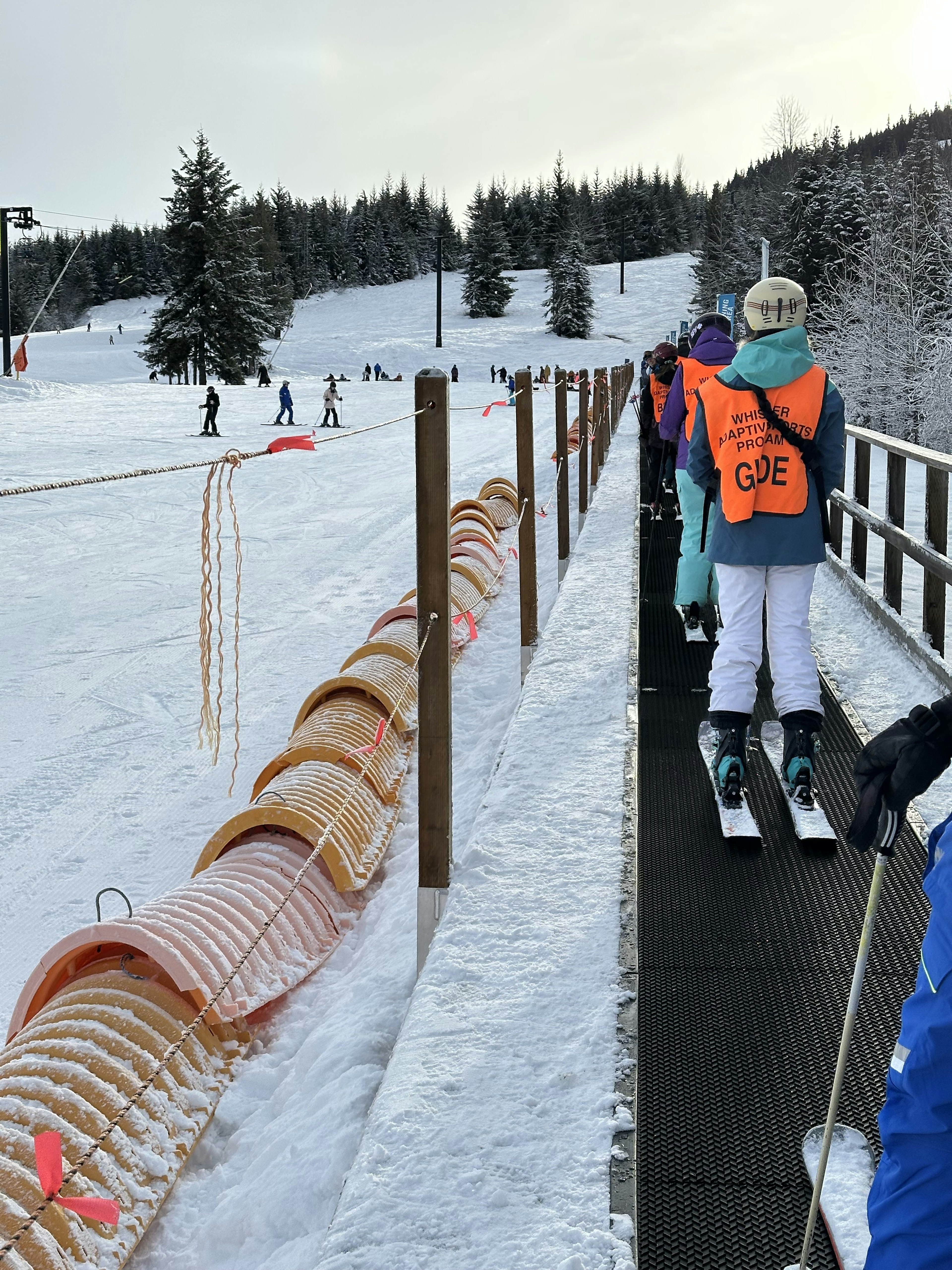 Адаптивные гиды (в оранжевых жилетах). Преподавание уроков лыж на Whistler BlackComb.