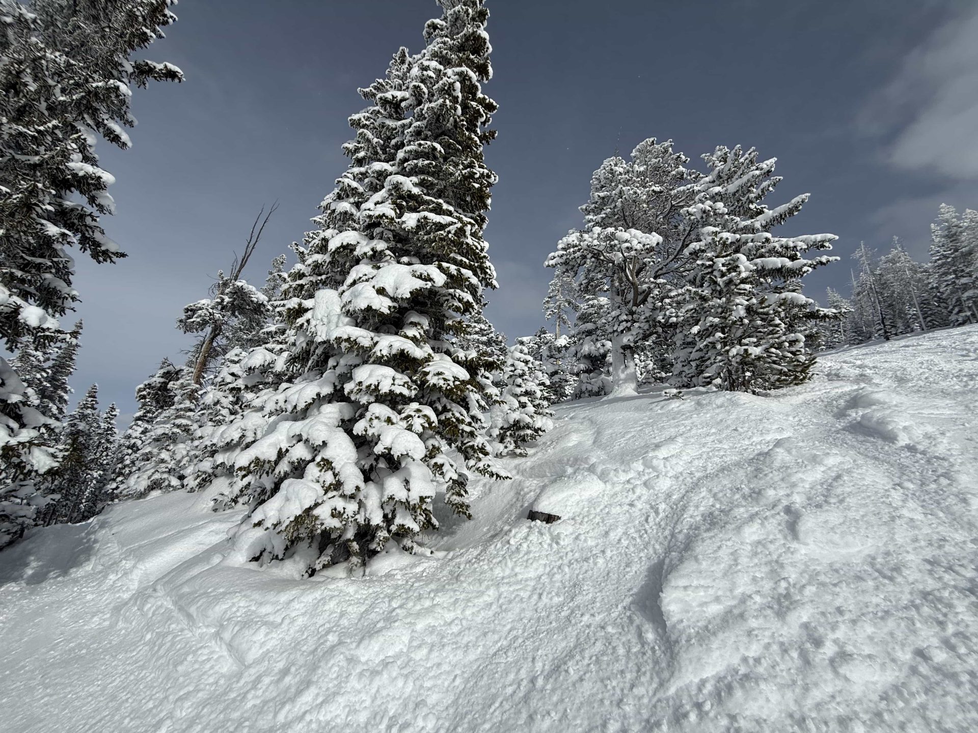 Winter Park, CO, отчет: 3 фута за 3 дня - это то, для чего мы живем