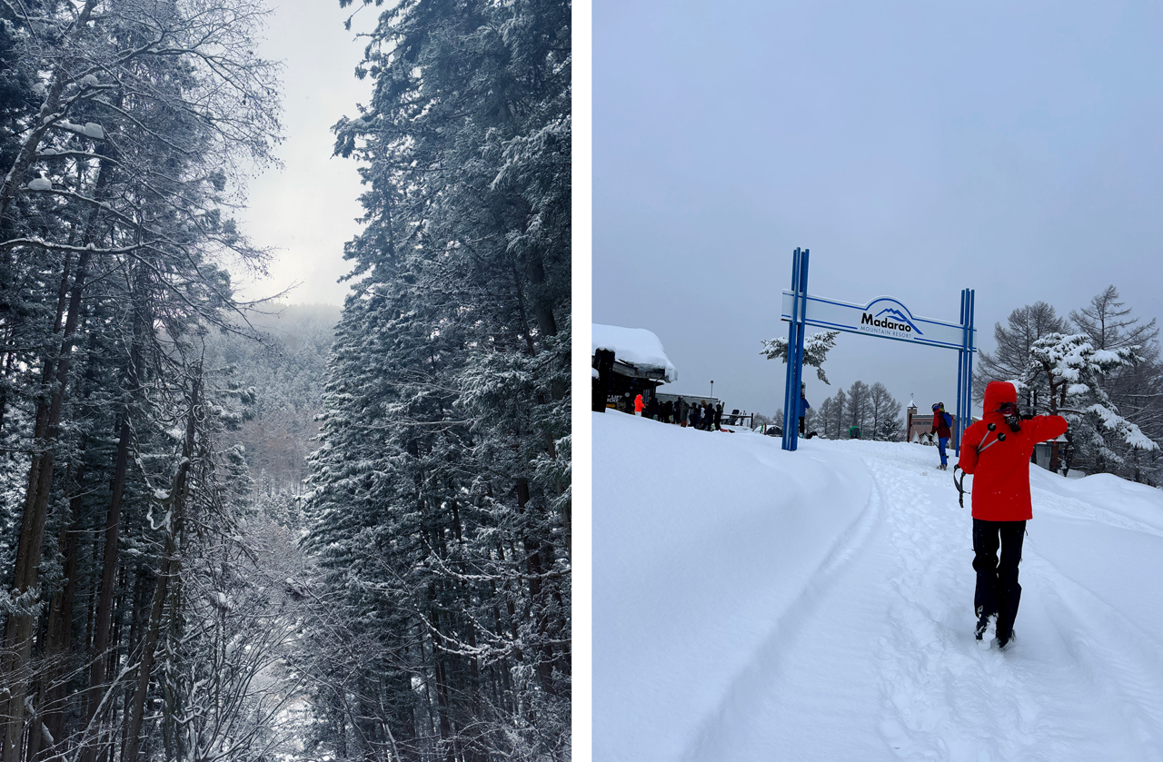 Madarao Mountain Resort - снежный оазис Японии