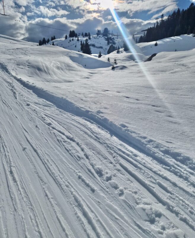 Ароса, Швейцария. Изображение © Planetski