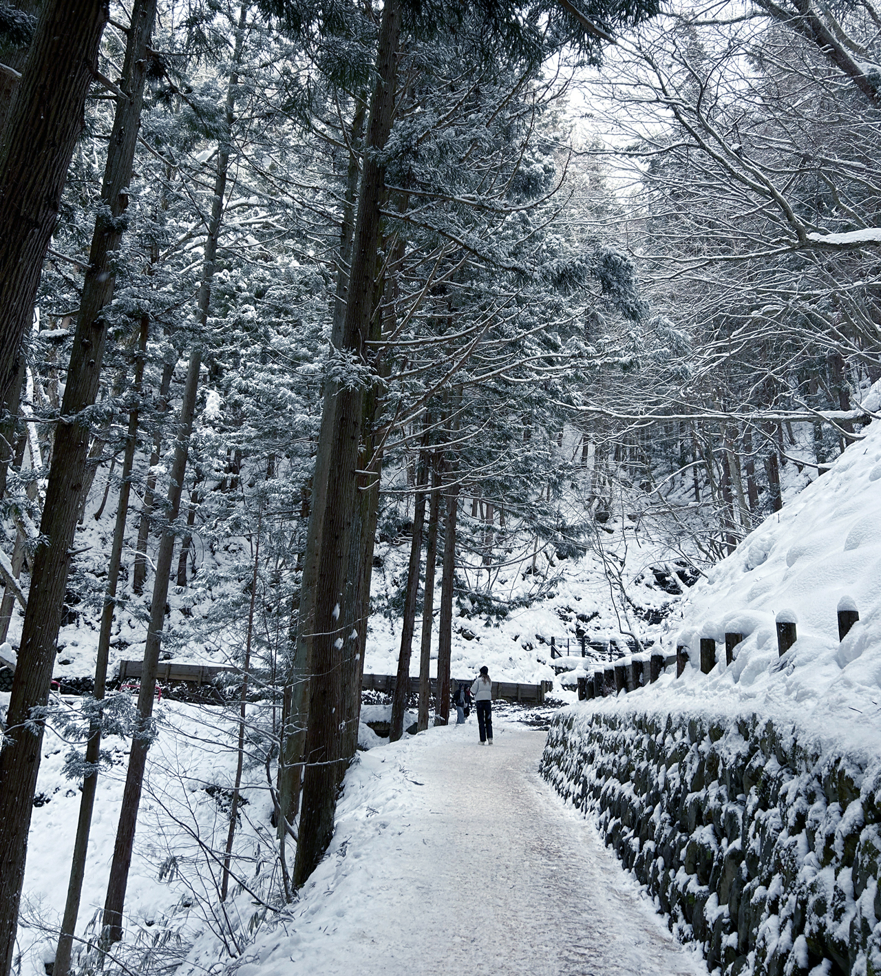Madarao Mountain Resort - снежный оазис Японии