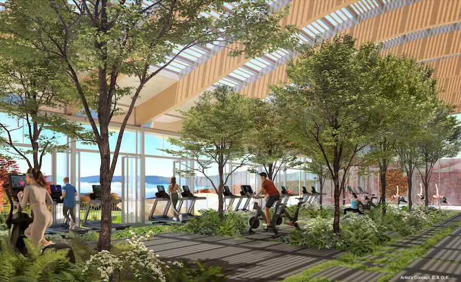 Веб-фитенс-Grove-rendering_courtesy-safdie-architects- (1) -copy.jpg
