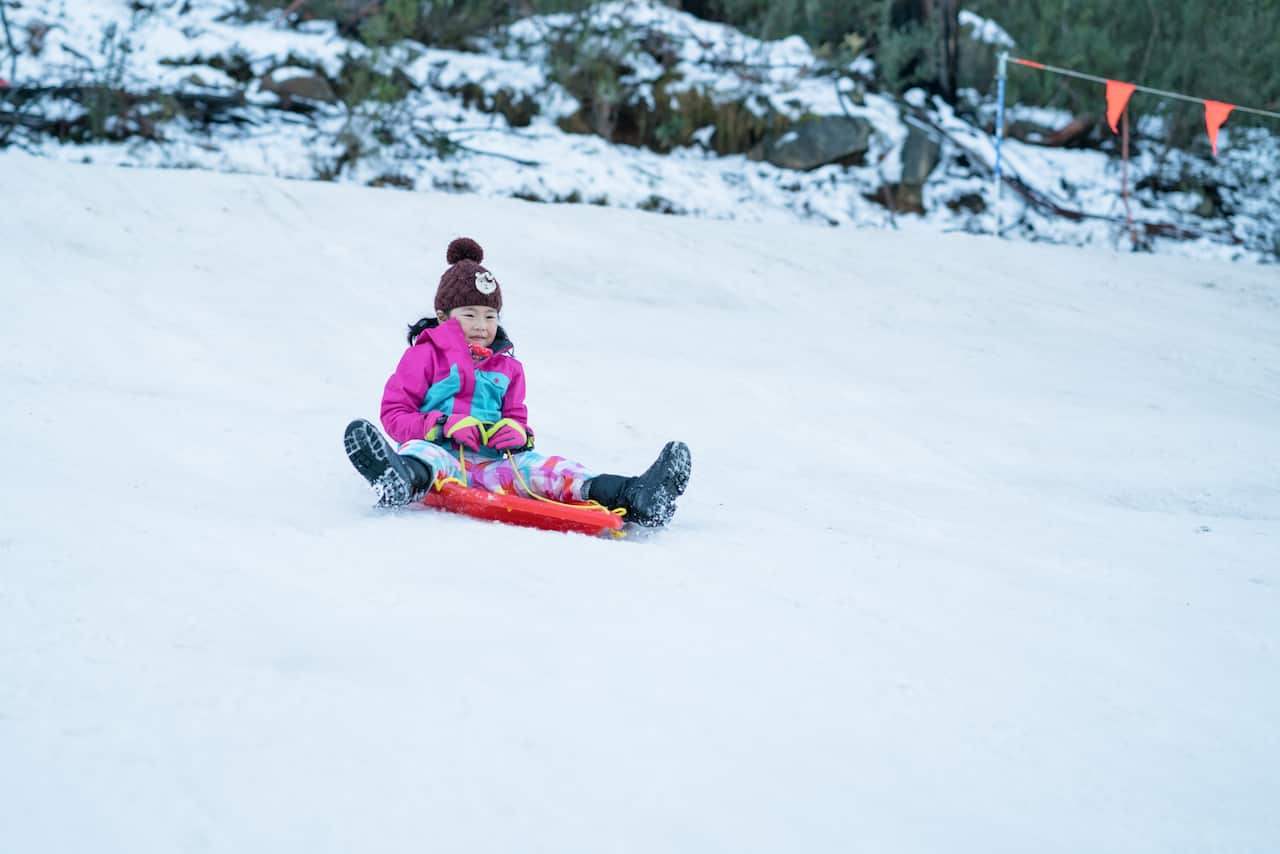 Girl On Toboggan Sliding Down On Snow