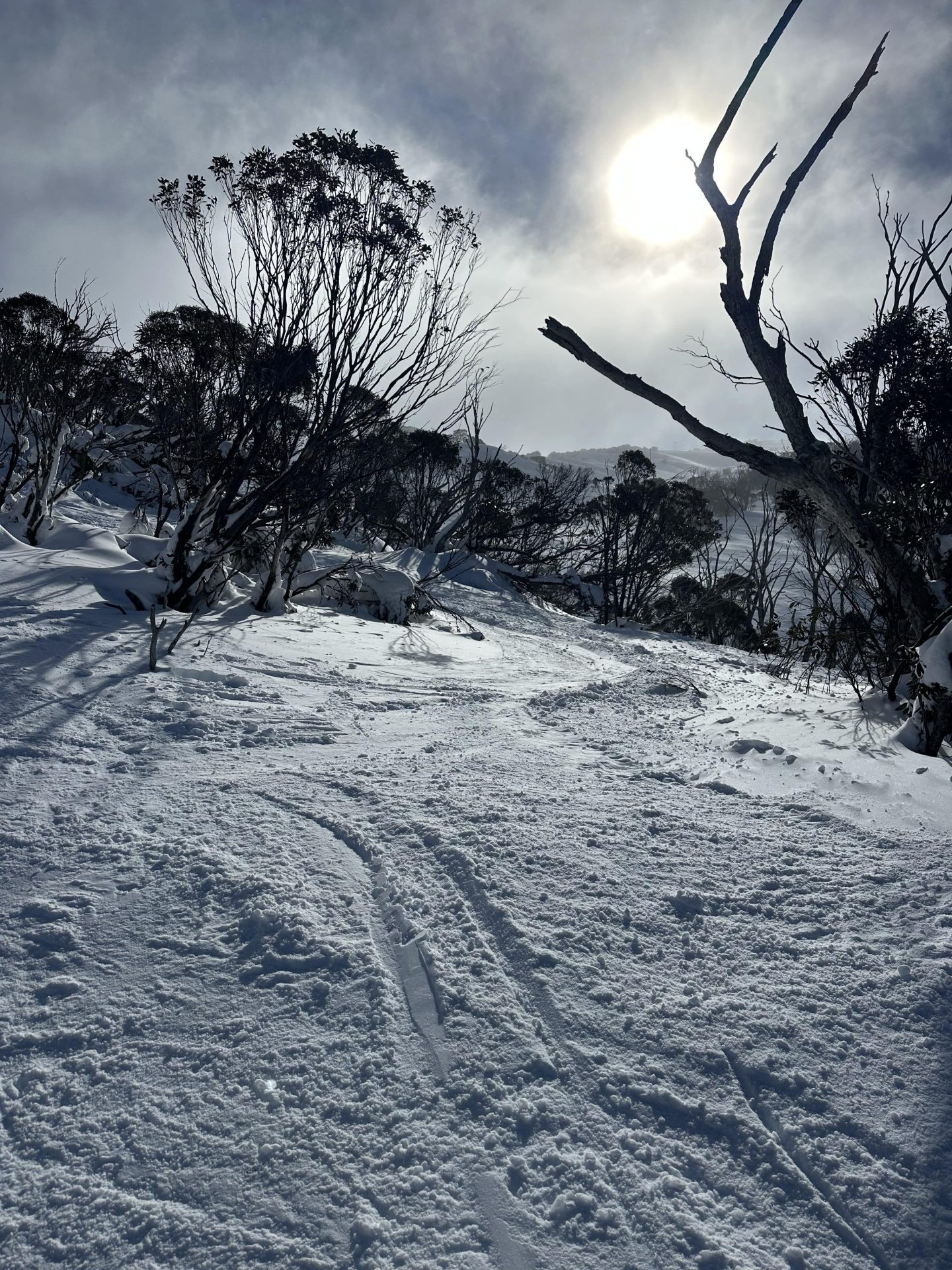 Thredbo, Australia, условия отчет: совершенство синей птицы