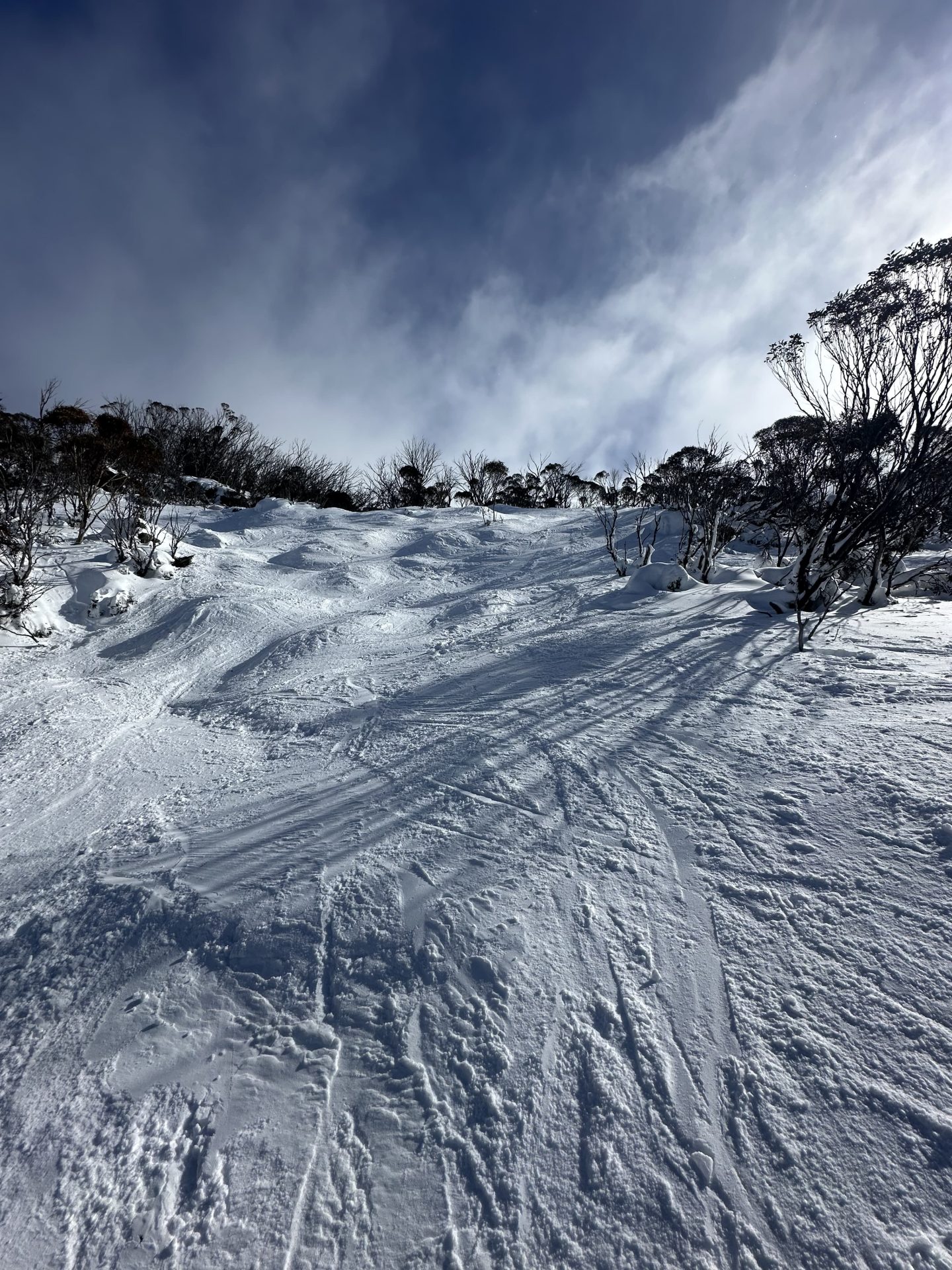 Thredbo, Australia, условия отчет: совершенство синей птицы