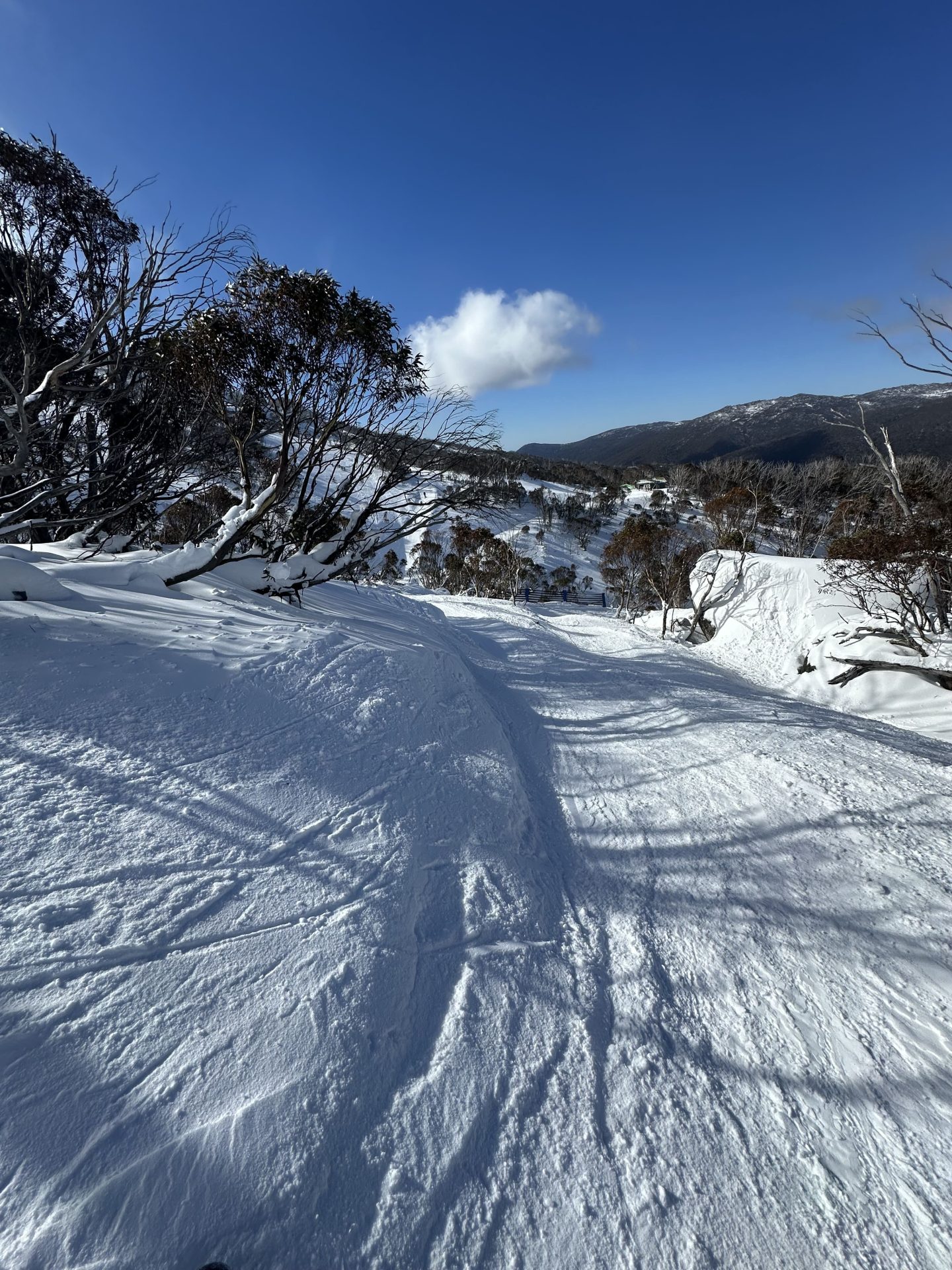 Thredbo, Australia, условия отчет: совершенство синей птицы