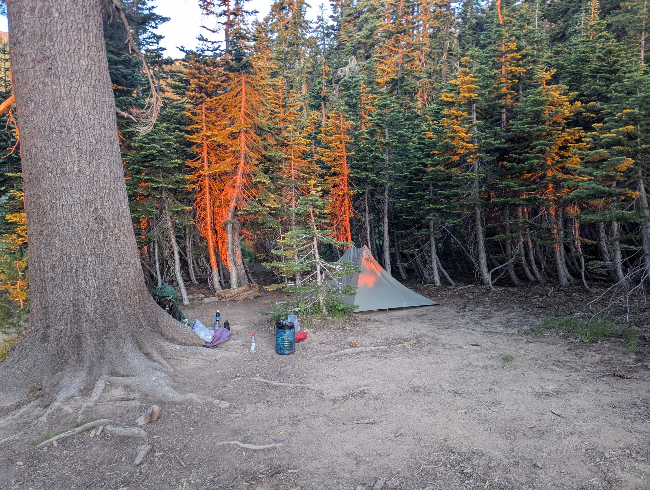 День 86 Donner Pass - The Trek