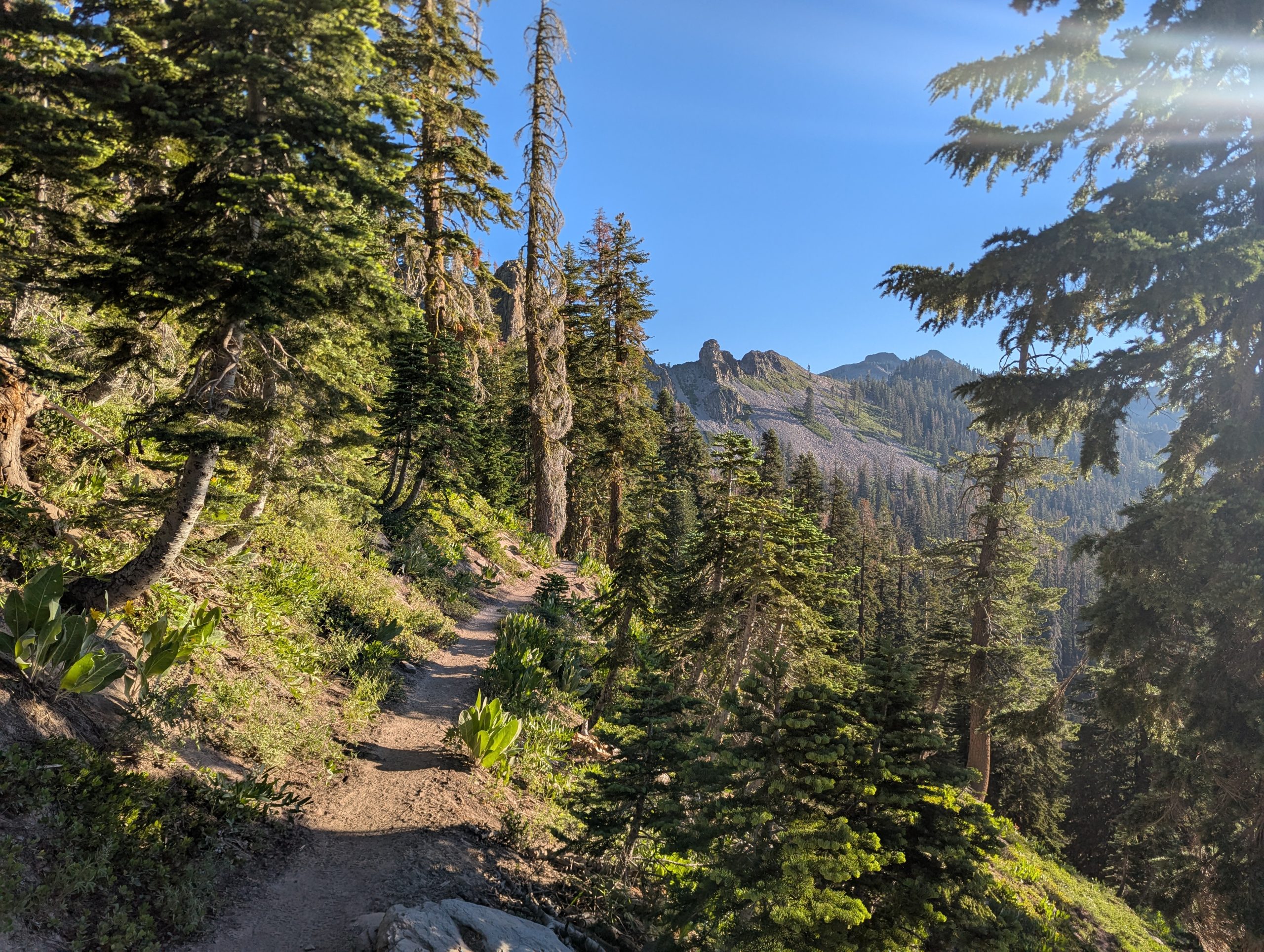 День 86 Donner Pass - The Trek