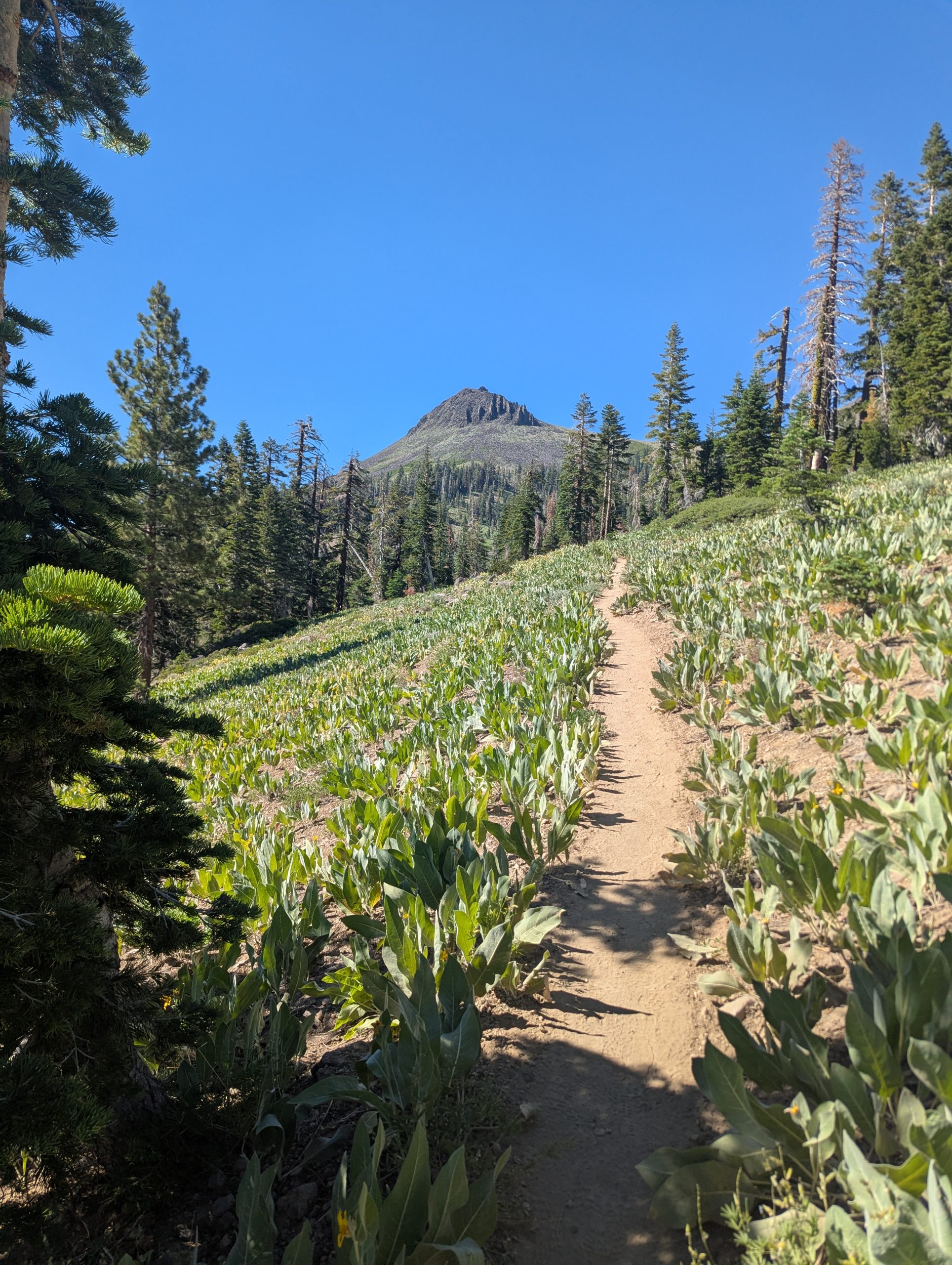 День 86 Donner Pass - The Trek