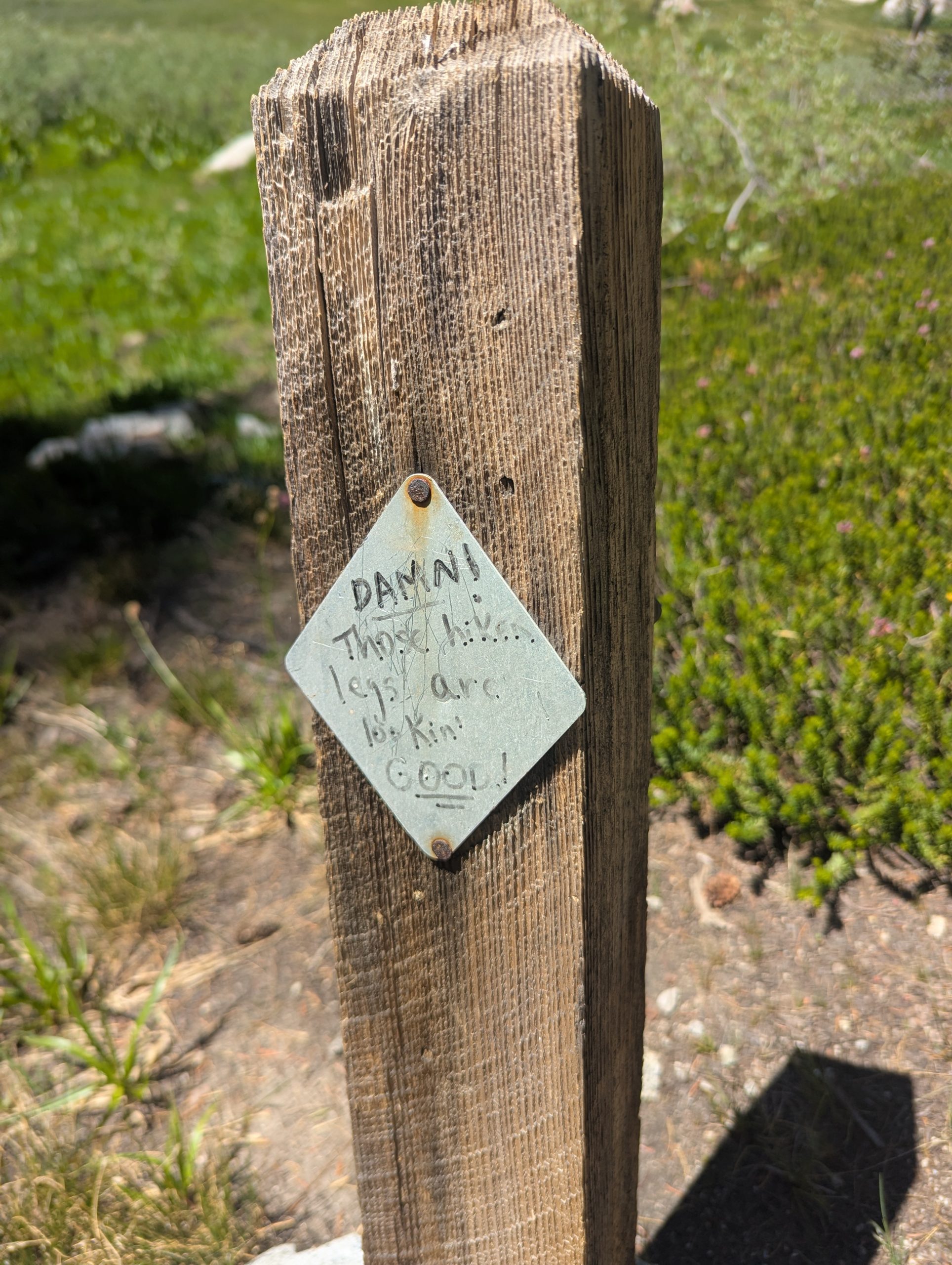 День 86 Donner Pass - The Trek