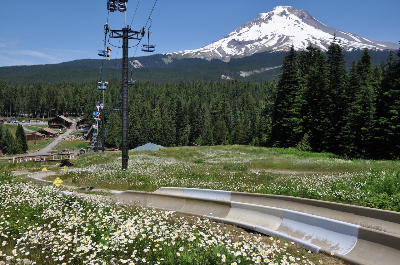 Mt. Hood Skibowl Summer