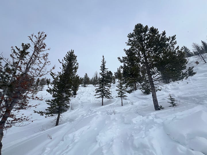 Panorama - это #LifeHack на лыжах - Стюарт Винчестер