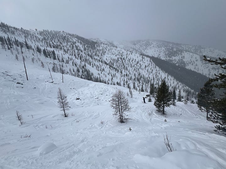 Panorama - это #LifeHack на лыжах - Стюарт Винчестер