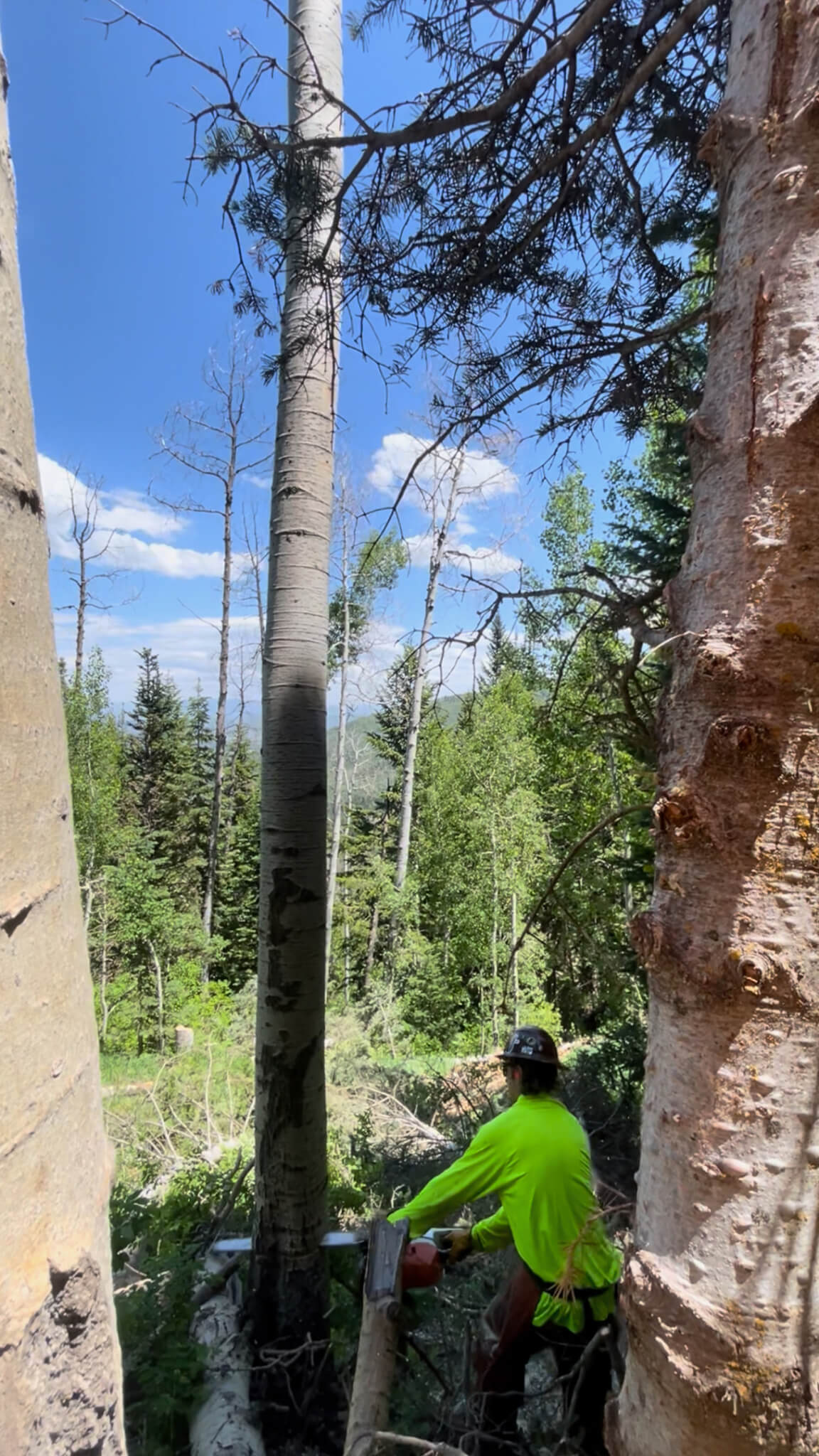 Park City Mountain Bike Bike Patrol и Trail Crew File to Unionize, ищите справедливость в рамках зимних ролей