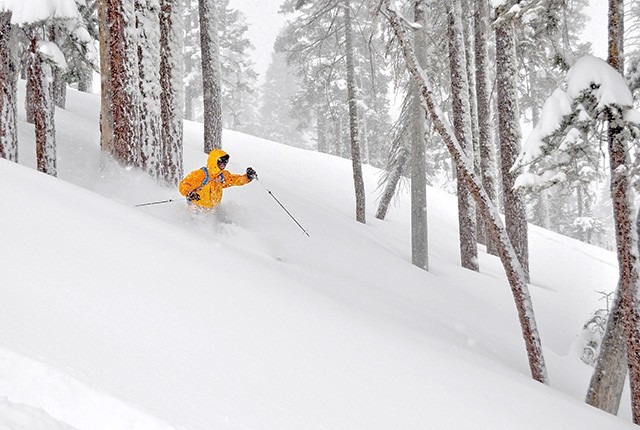 Dodge Ridge Ski Resort, CA.