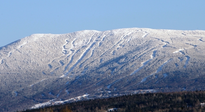 Седлбэк