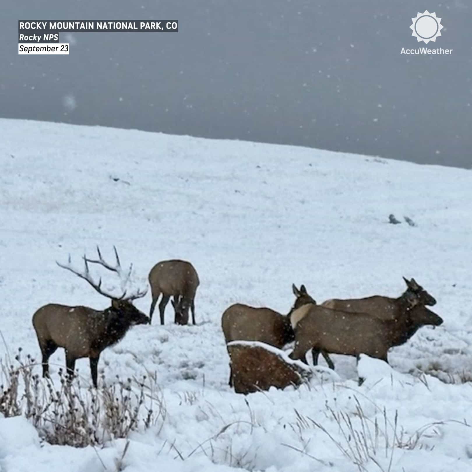 Национальный парк Рокки Маунтин. | Фото: Accuweather