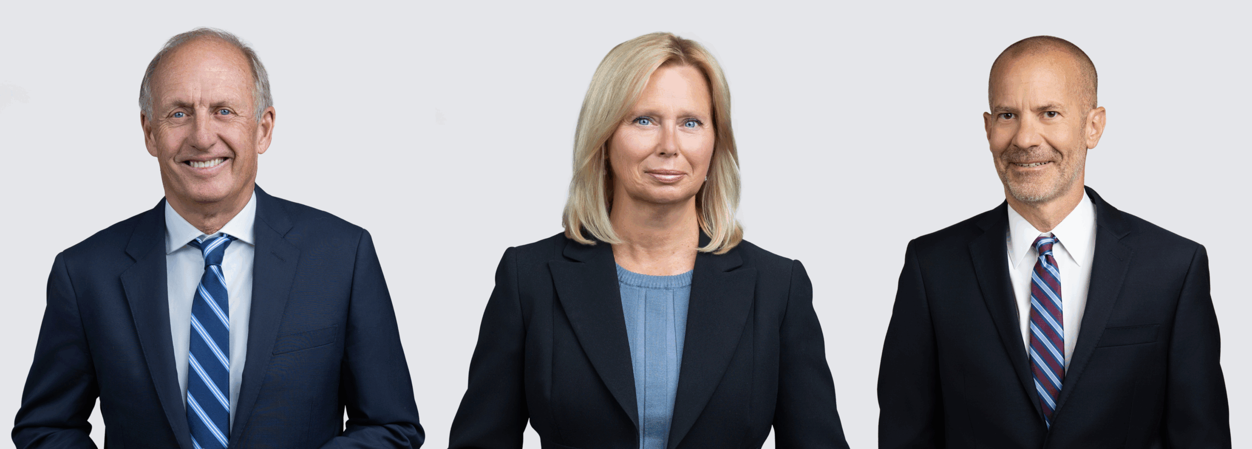 Стив Цвейг Мэрихо Цвейг и Брайан Биренбах Гфеллер Лори ООО ООО