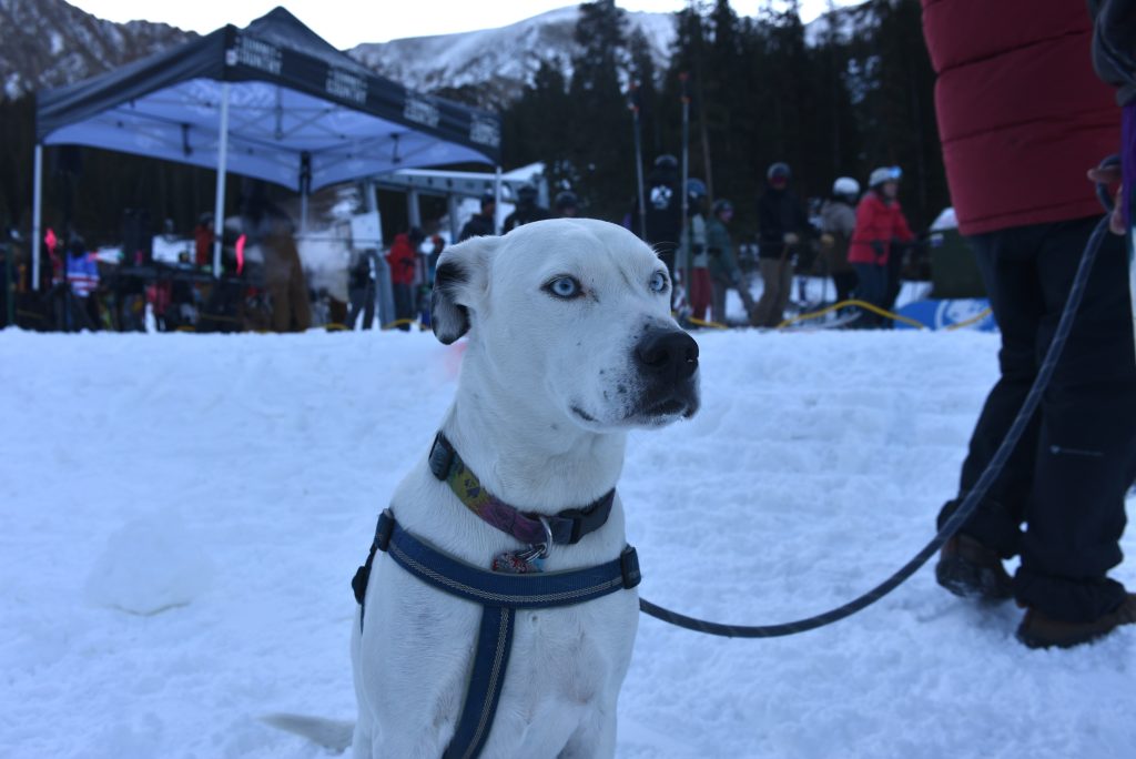 Бассейн Арапахо начинает сезон 2025–26 со дня открытия.