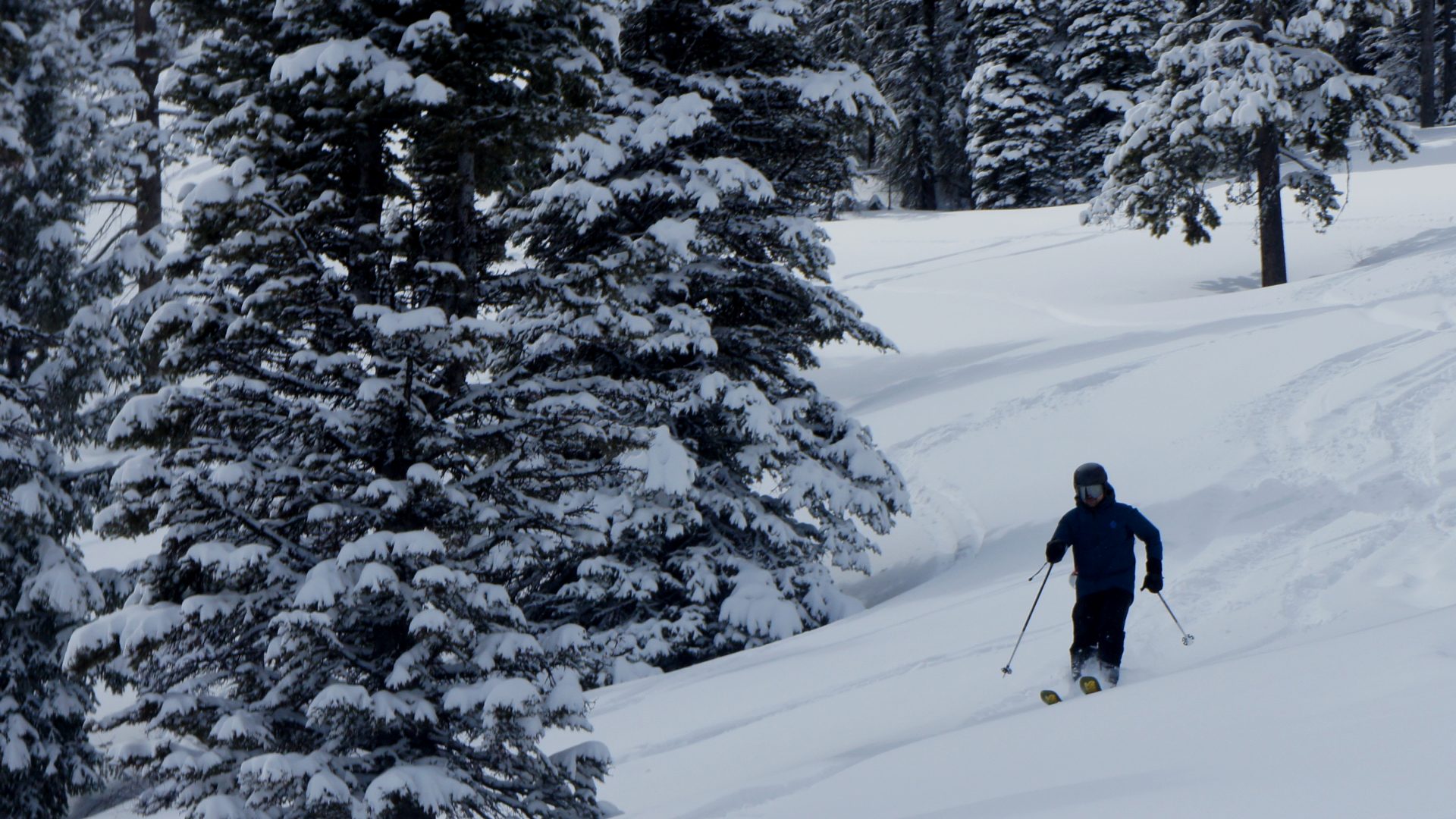 Новая лыжная трасса восстает из пепла на горнолыжном курорте Тамарак, штат Айдахо
