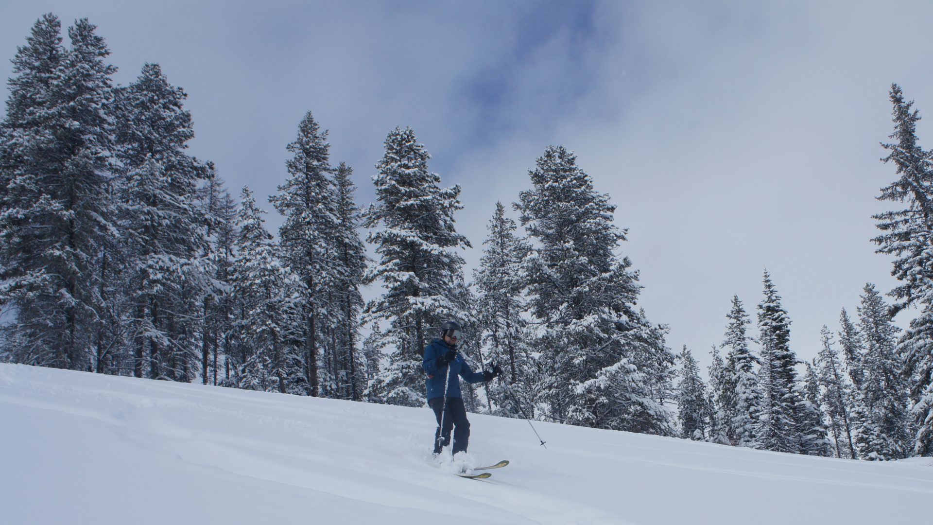 Новая лыжная трасса восстает из пепла на горнолыжном курорте Тамарак, штат Айдахо