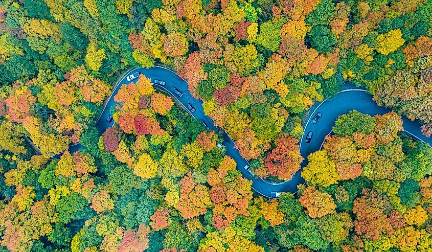 Панорамный вид на пик осенней листвы в Контрабандистской Нотче, Вермонт.