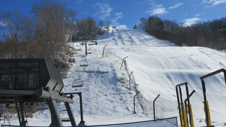Заснеженный забег на Каштановой горе.