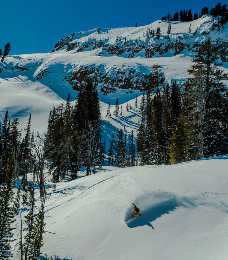 Лучший горнолыжный город Джексон-Хоул: голосуйте прямо сейчас!