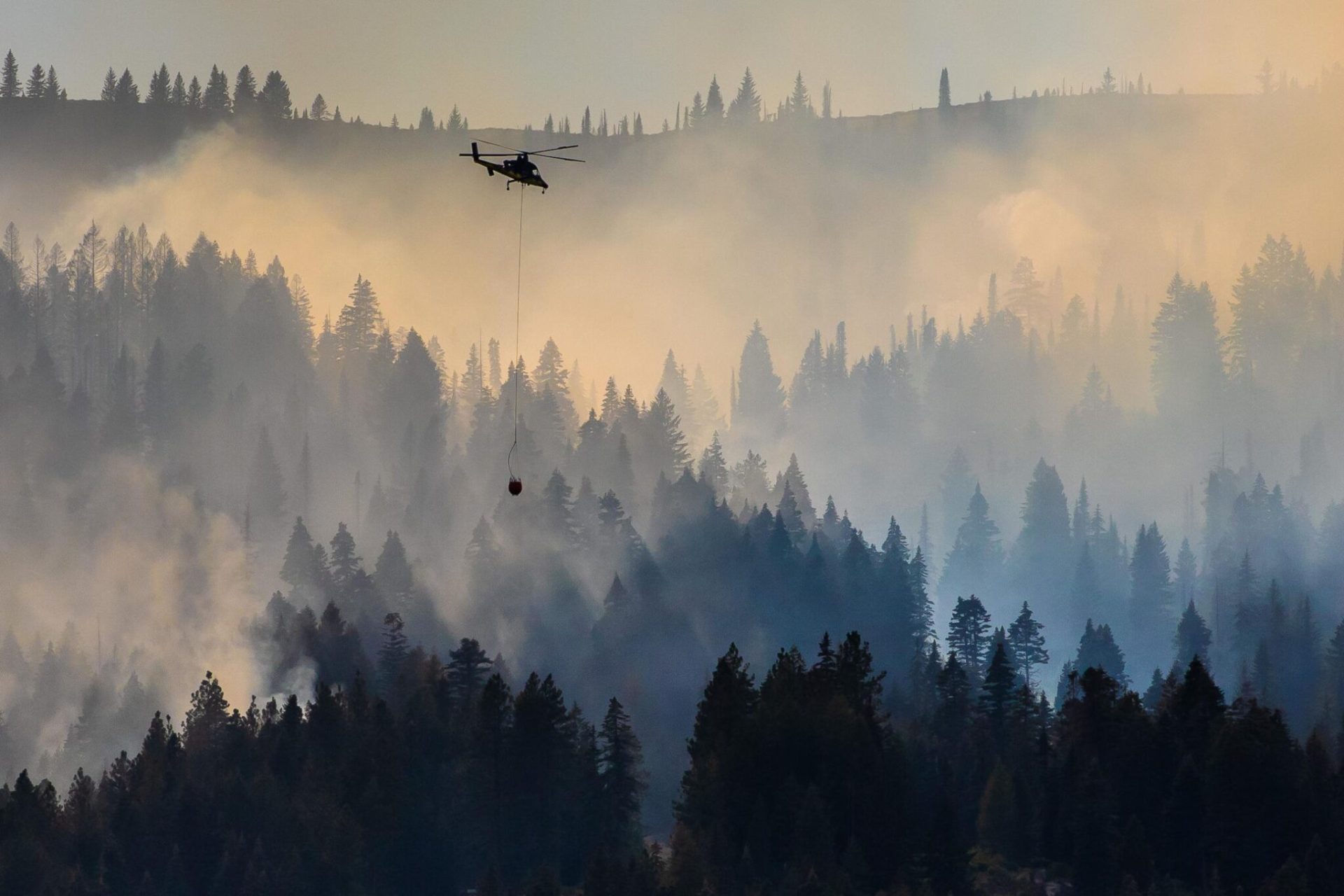 Новая лыжная трасса восстает из пепла на горнолыжном курорте Тамарак, штат Айдахо