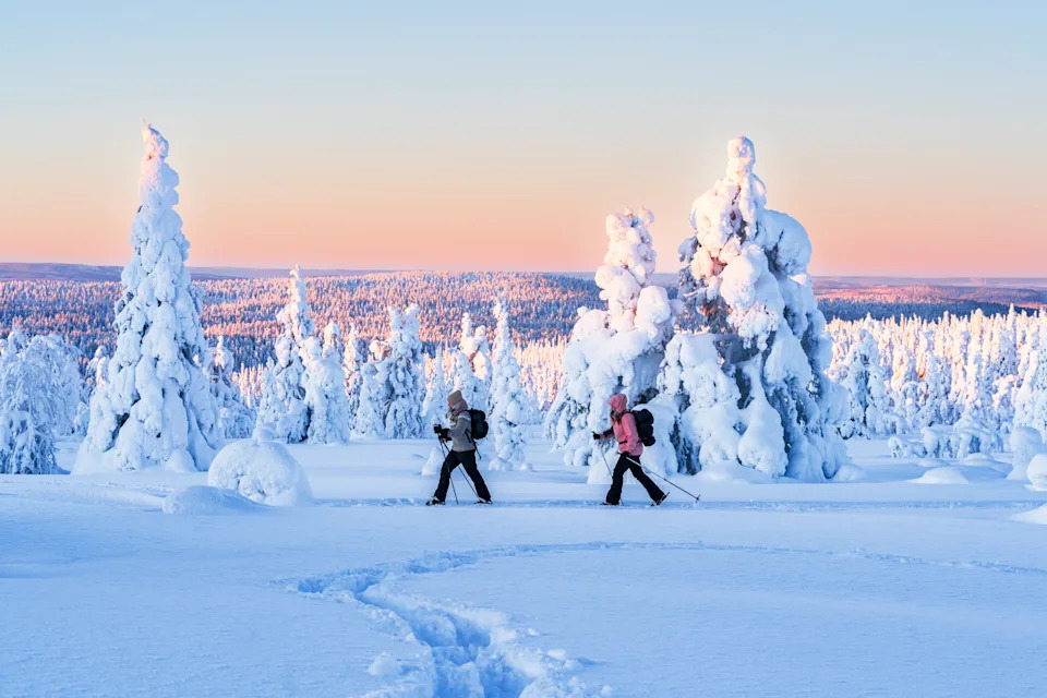 Две девушки катаются на лыжах по арктическому пейзажу через замерзший лес в сумерках.