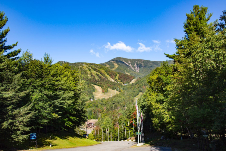 Живописный вид на горный хребет с пышными зелеными деревьями на переднем плане и ясным голубым небом над головой. Горы имеют следы лыжных трасс и частично покрыты деревьями, что указывает на живописную природу. В нижней части изображения видна асфальтированная дорога, окруженная несколькими флагштоками.