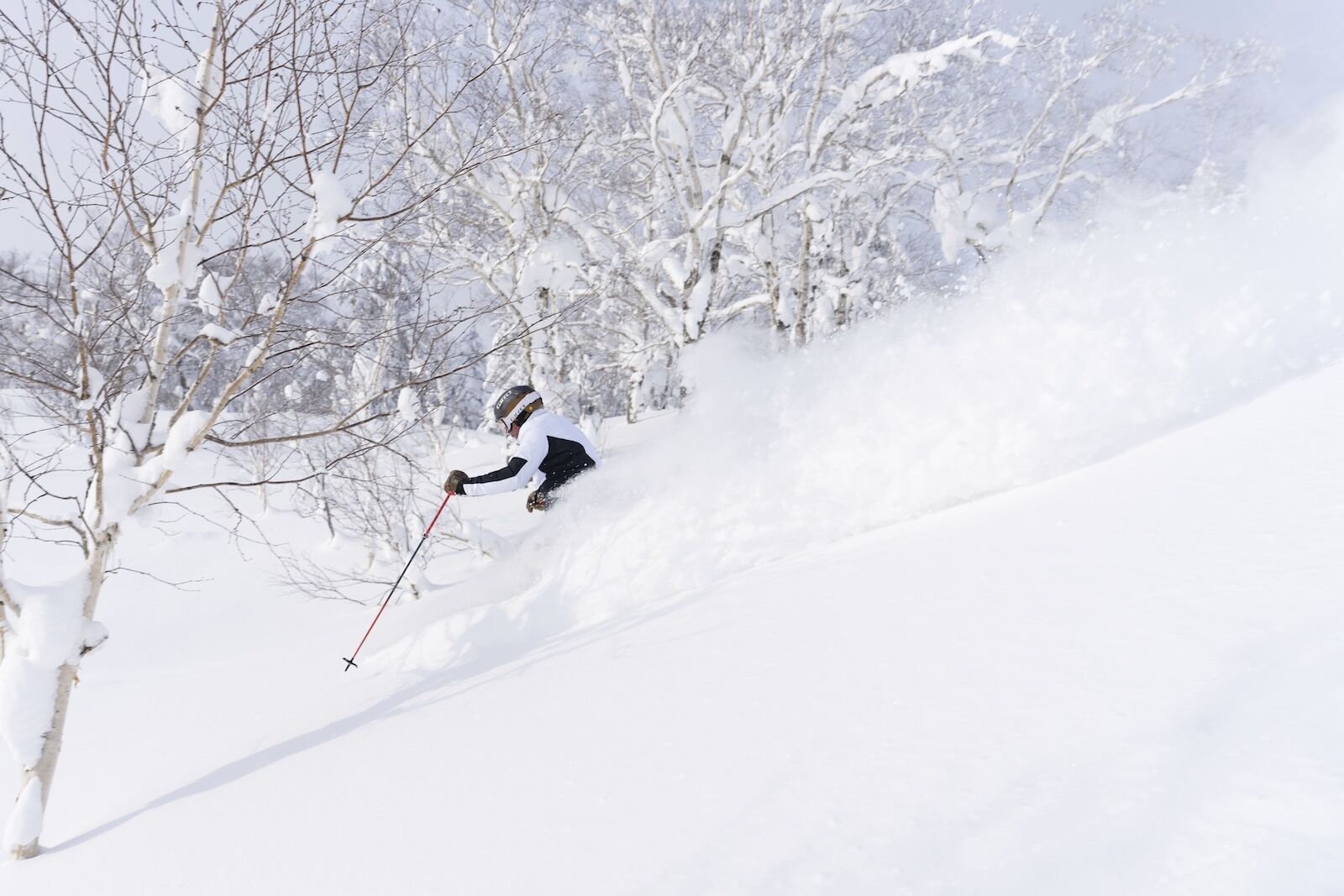 Ikon Pass Asia - лыжник в Фурано