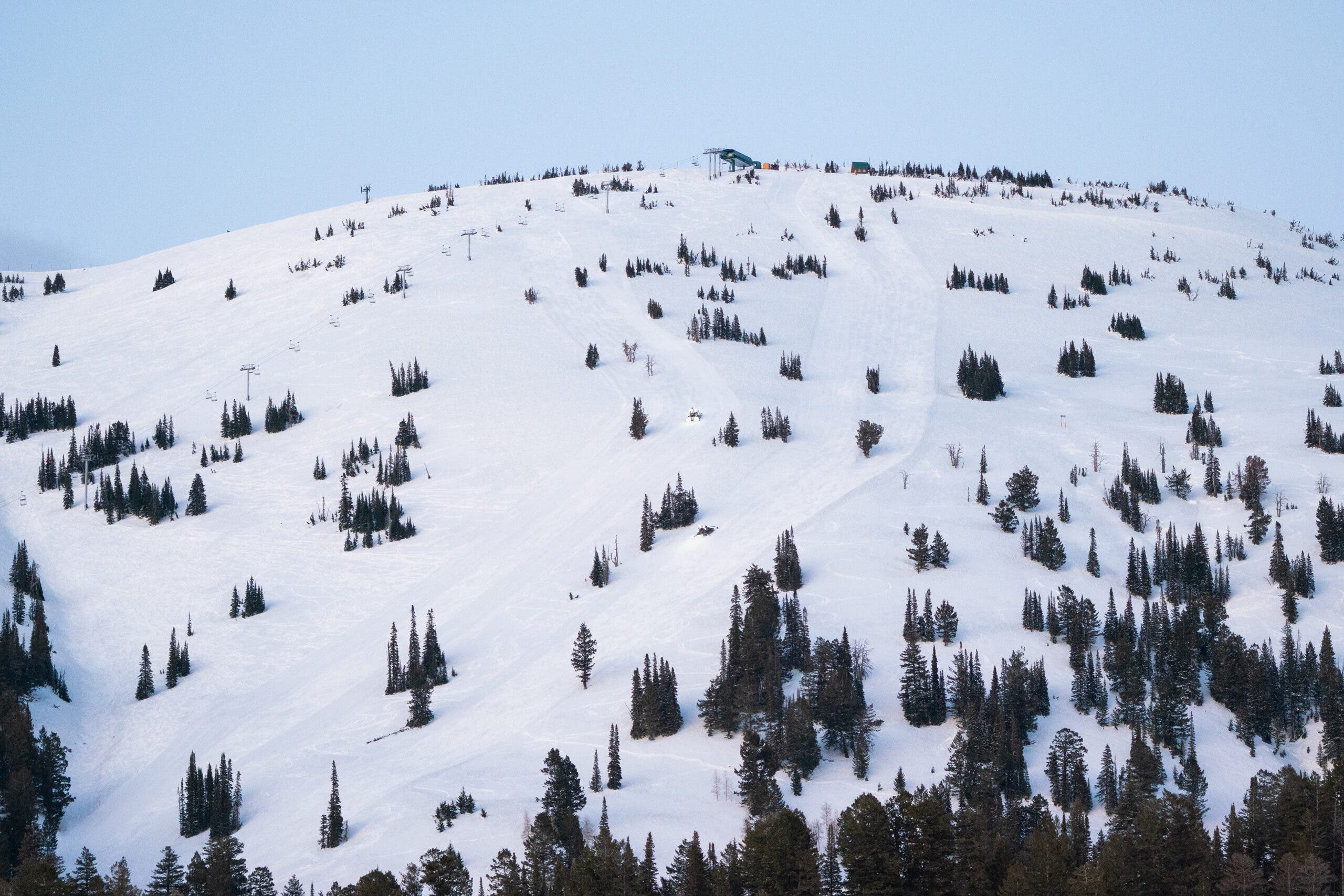 Гранд Тарги