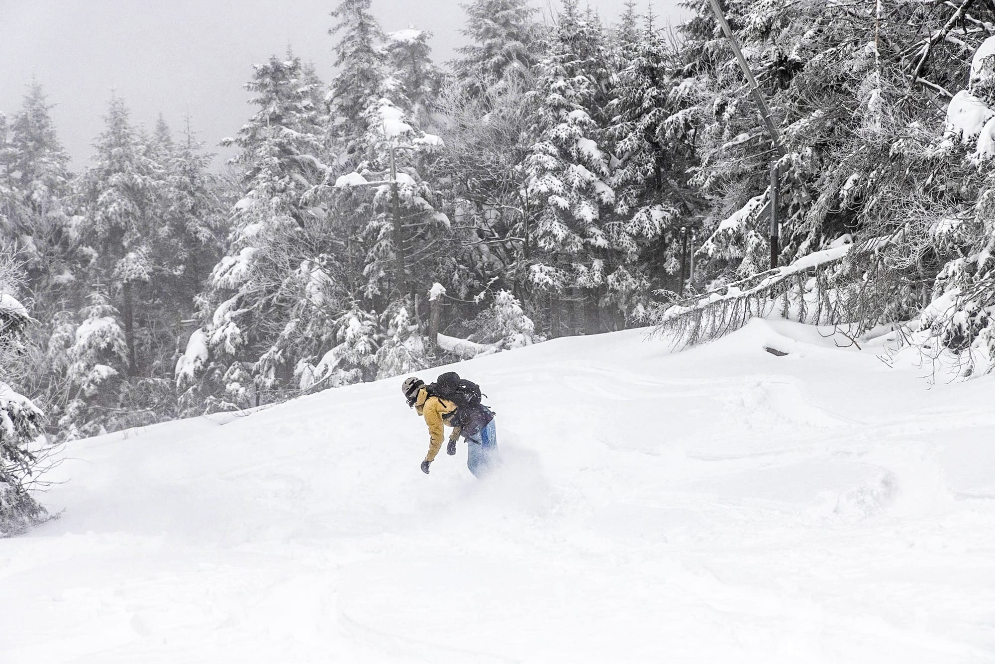 Еженедельный обзор снега в Северной Америке № 288