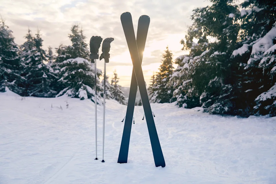 Живописный вид на лыжи и палки, расположенные на заснеженной земле в безмятежном зимнем лесу.
