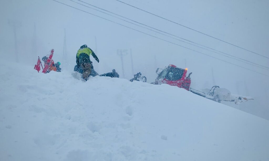 Сотрудники патруля и груминга Аппи Коген работают вместе с волонтерами, чтобы установить аварийные границы.