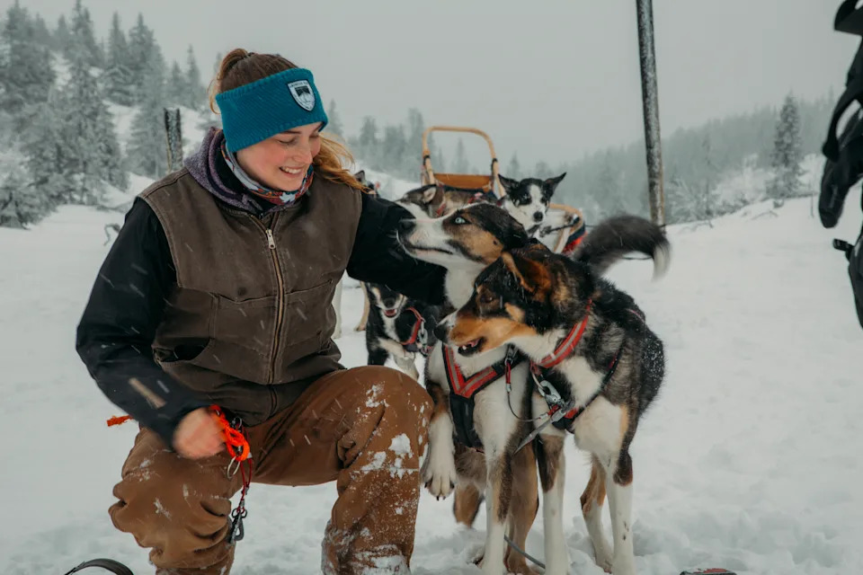 Катание на собачьих упряжках в Швеции