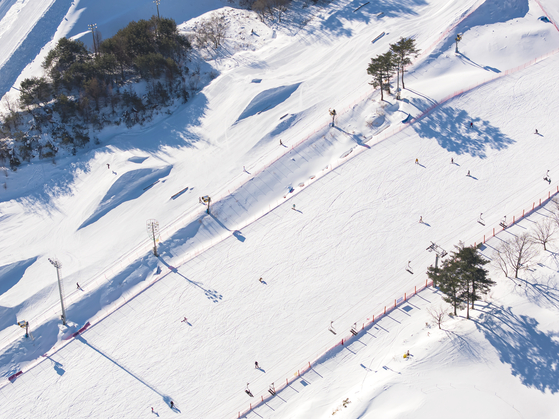 Лыжные трассы в парке Феникс в Пхенчхане, Канвондо, видны на этой фотографии, предоставленной курортом. [PHOENIX HOTELS & RESORTS]