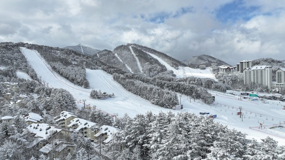 Лыжные трассы в Мона Ёнпён в Пхенчхане, Канвондо [MONA PYONGPYONG]