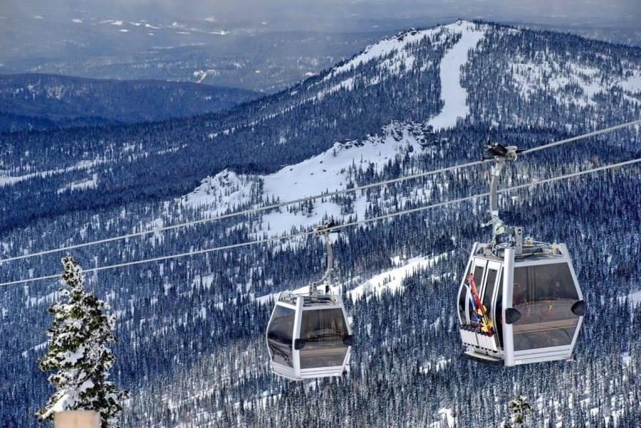 Фото предоставлено пресс-службой АПК 5240047886140116431