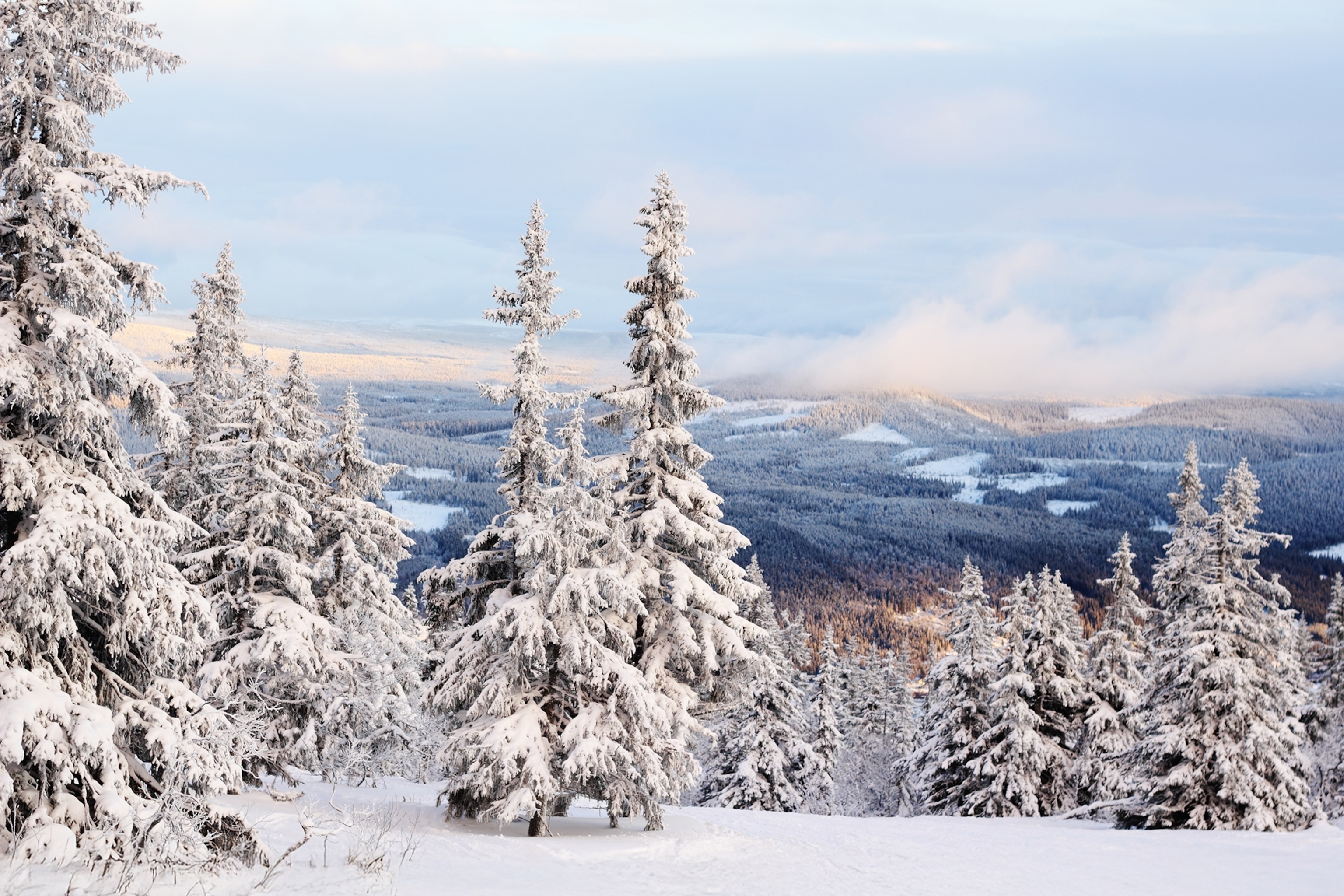Скандинавия