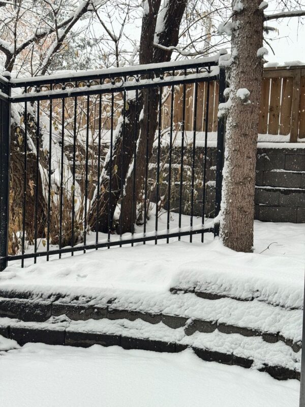 Калгари, Альберта, Канада. Изображение © ПланетаСКИ