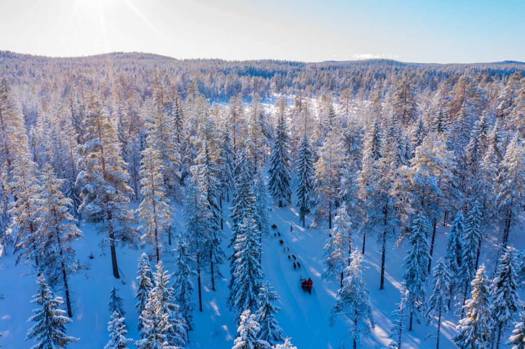 Уикенд 50k ITT в Орсе Грёнклитт стал знаковым событием в Про Туре Лыжной Классики.