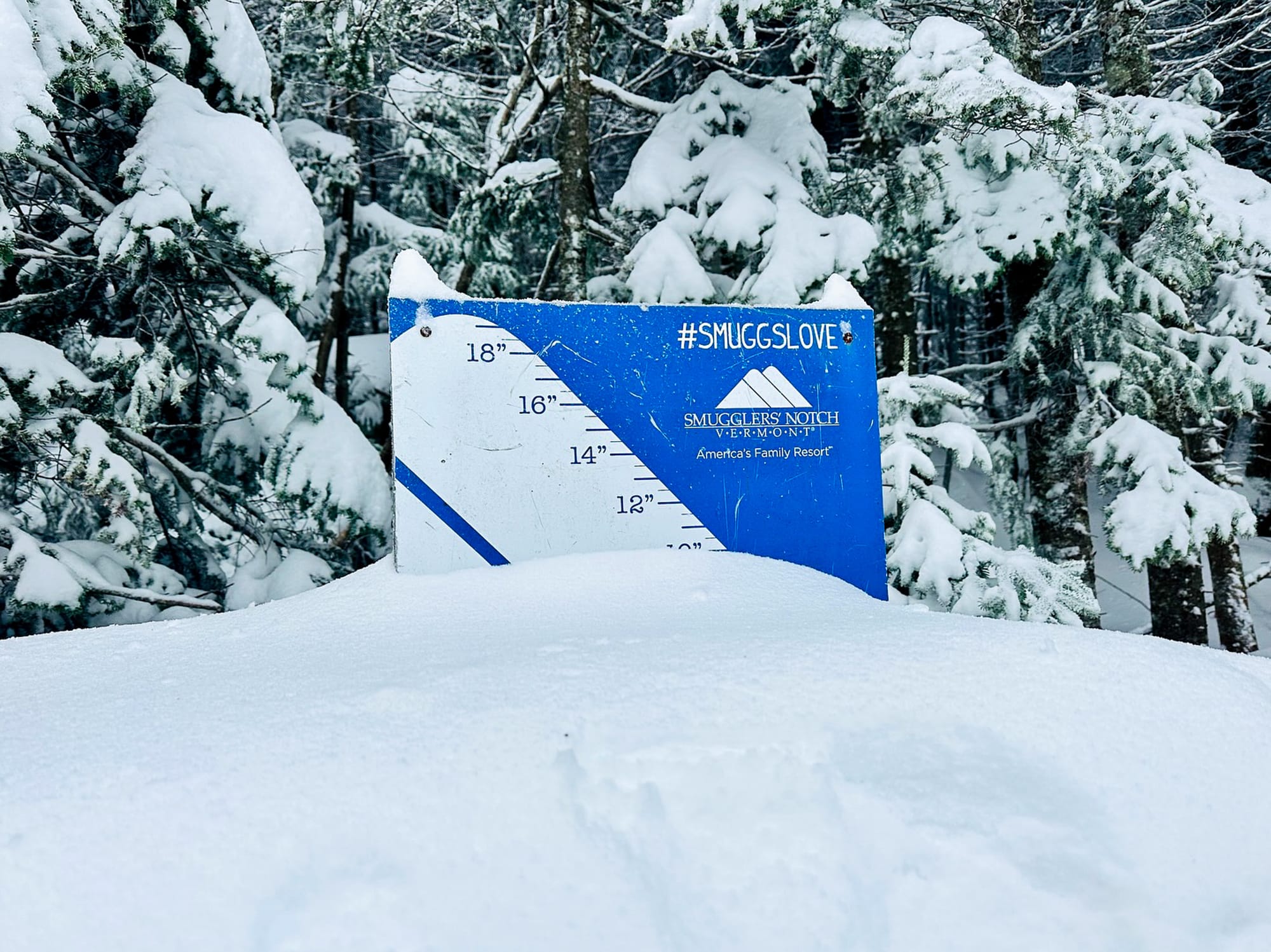 Еженедельный обзор снега в Северной Америке № 288