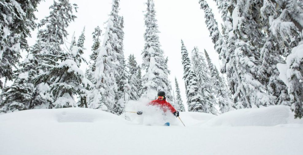 Туризм Ревелсток