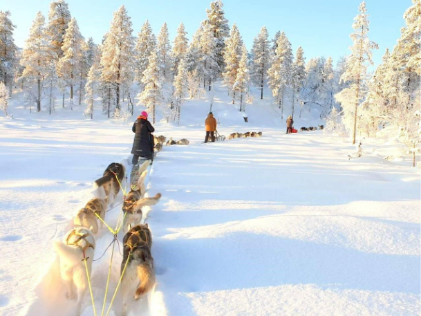 Reistadløpet and Grand Finale Summit 2 Senja Mark the Grand Finale of Ski Classics Season XVII